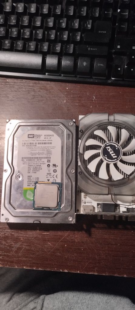 GT 730 2GB DDR 3 MSI для ігор нижчого класу