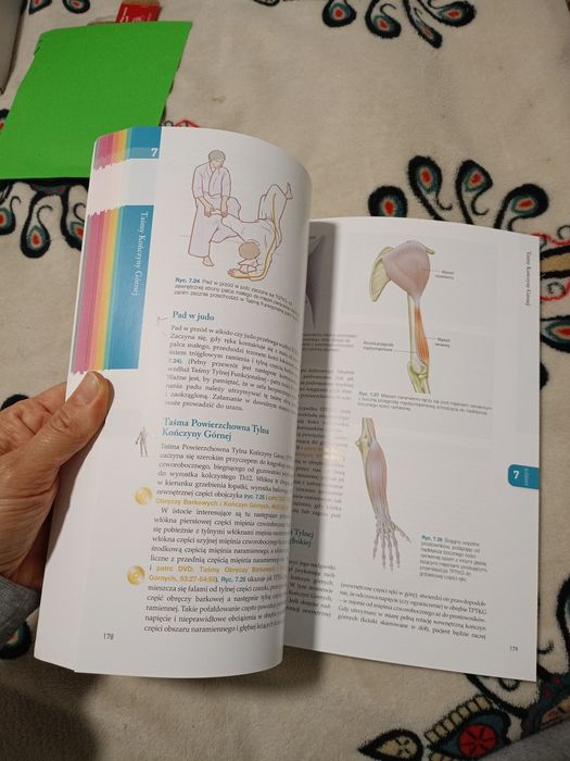 Książka Taśmy anatomiczne Thomas W. Myers