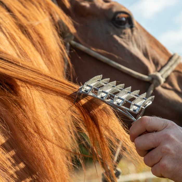 Zgrzebło metalowe dla bydła, z grzebieniem, 12 x 12,5 cm, Kerbl