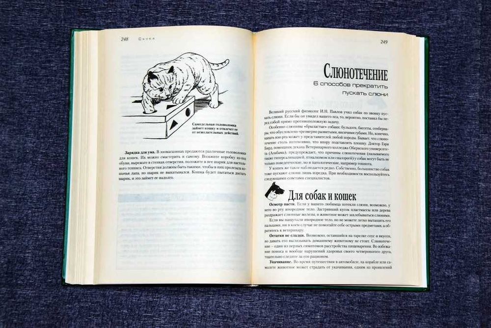 Советы американских ветеринаров. Домашний доктор для кошек и собак