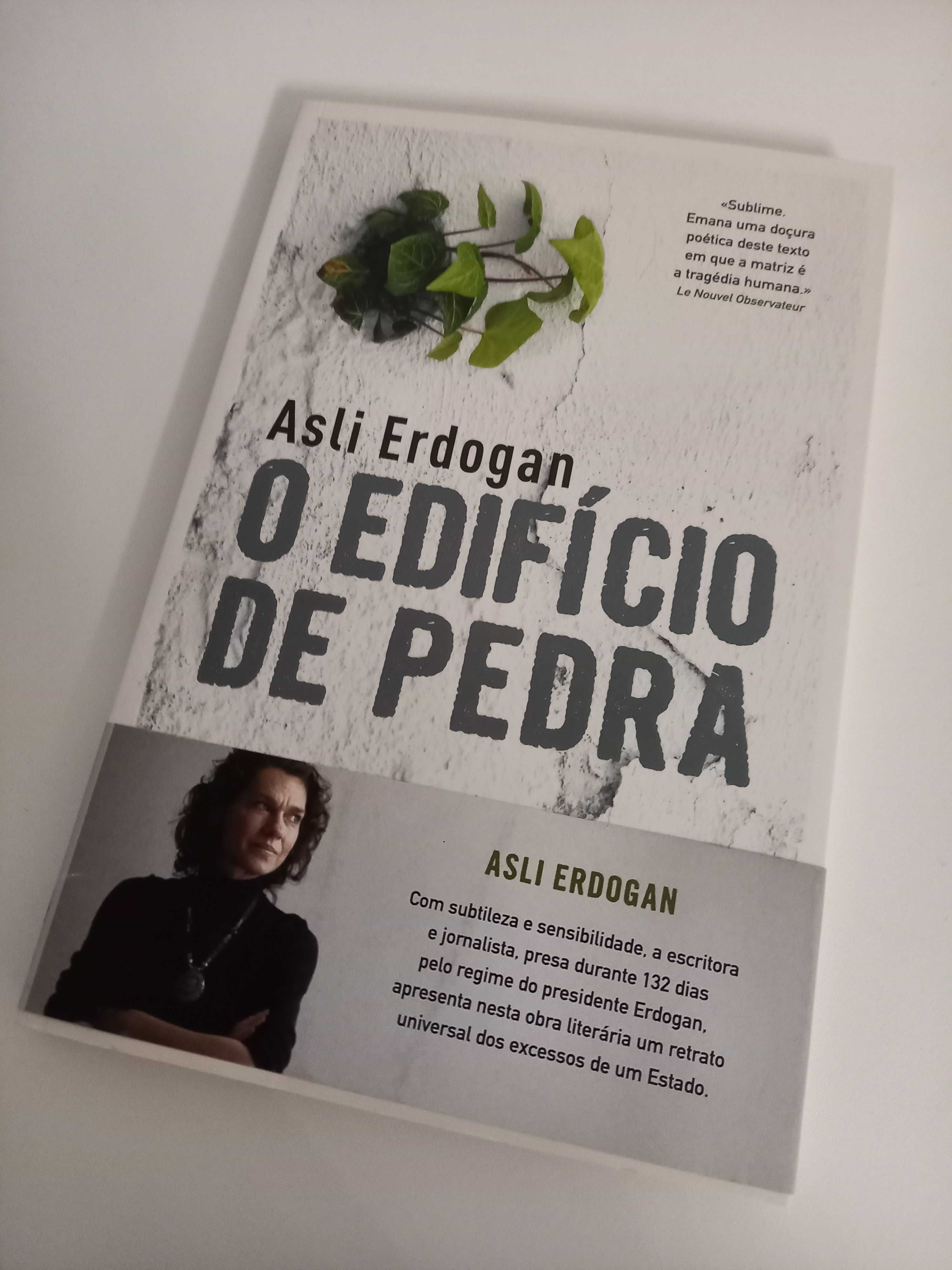 O Edifício de Pedra, Asli Erdogan