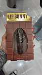 Lip bunny by fran (gloss de chocolate)