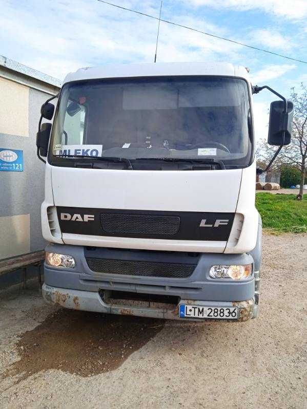 DAF LF55 Cysterna do Mleka