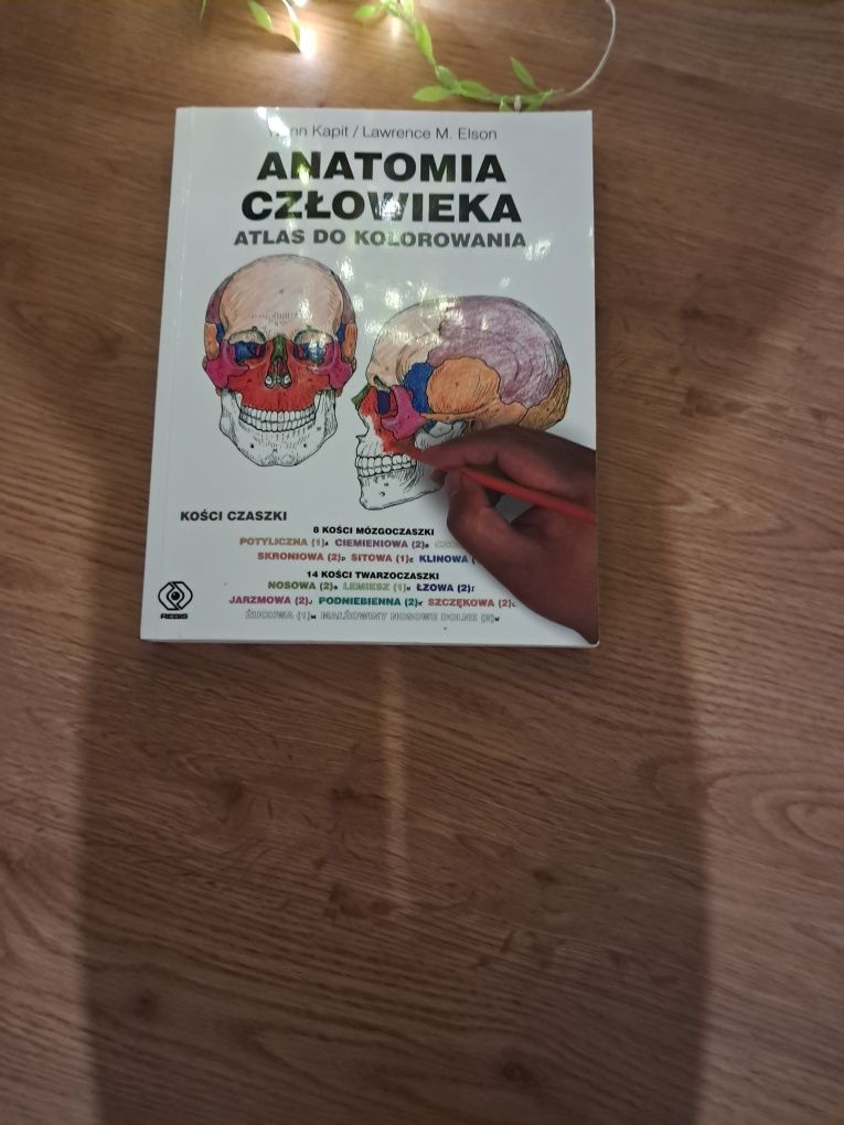 Anatomia człowieka. Atlas do kolorowania.