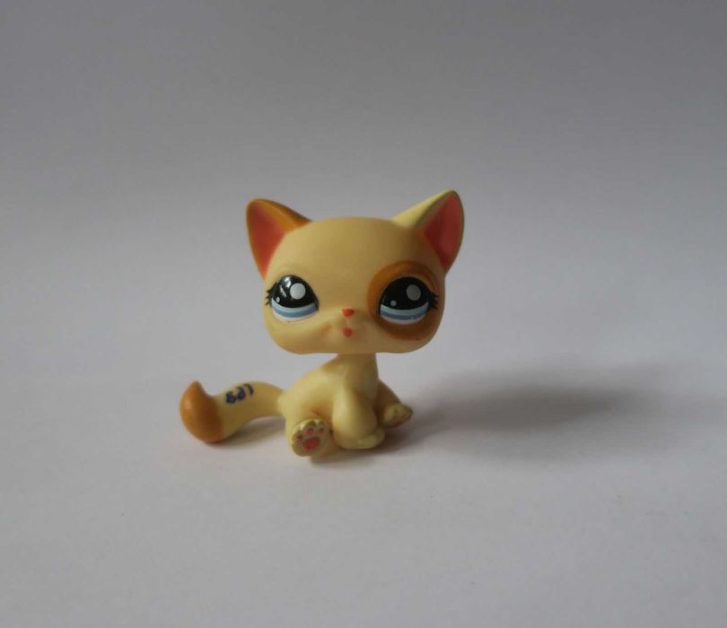 Lps kot shorthair littlest pet shop pomarańczowy