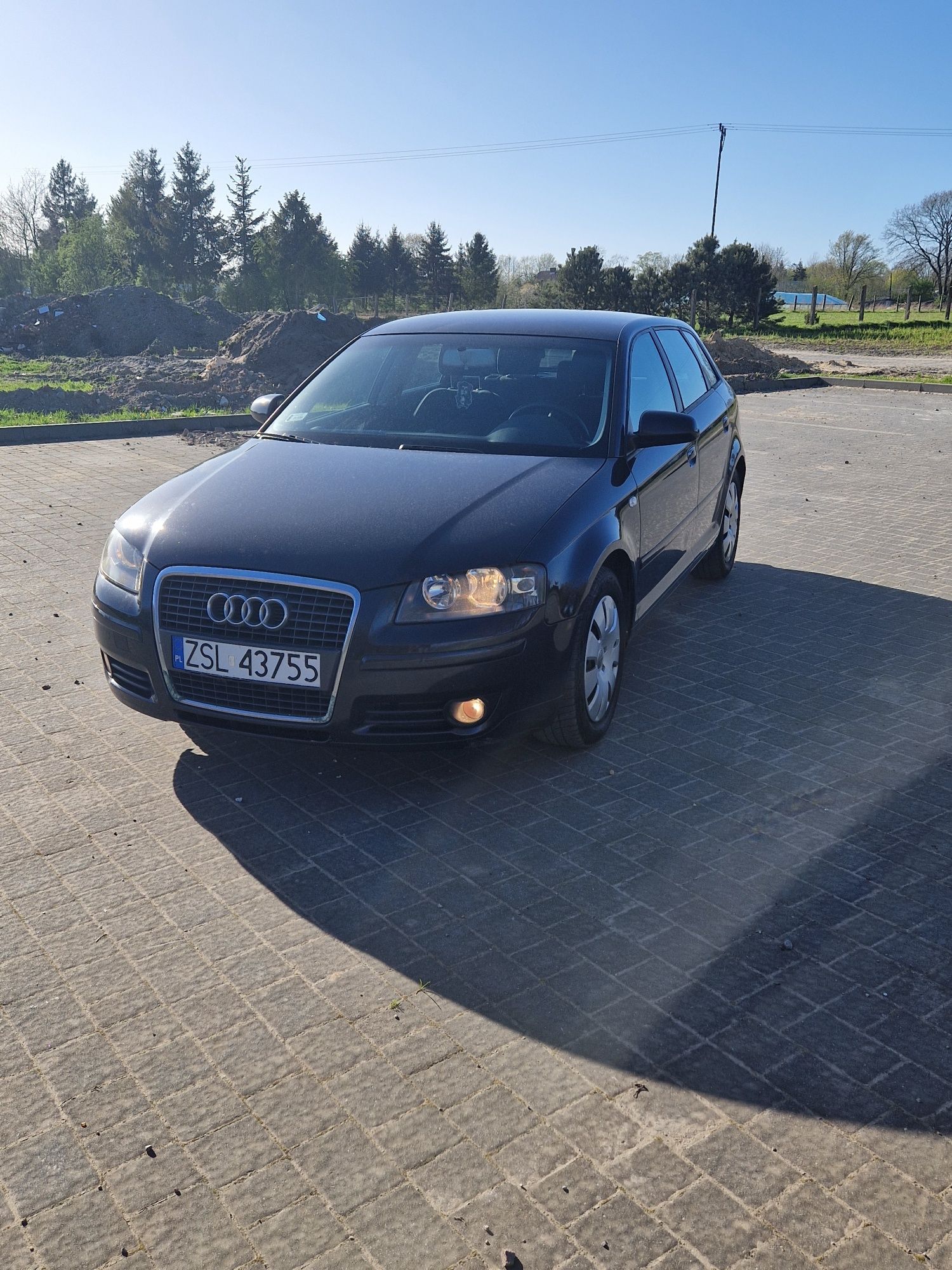 Audi A3 8P 1.9 tdi 105km 2004