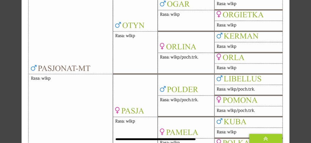 Pięknie malowany 7 miesięczny ogierek rasy wielkopolskiej (dotacyjny)