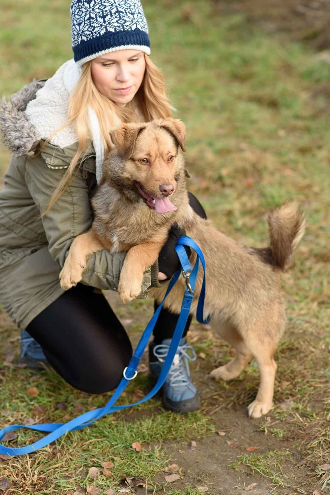 Tano czeka na adopcję