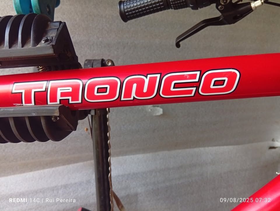 Bicicleta Jl-Wenti Tronco