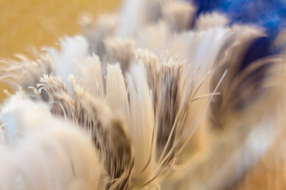 Obiektyw Jupiter 12 F2.8/35mm. Mocowane M39.