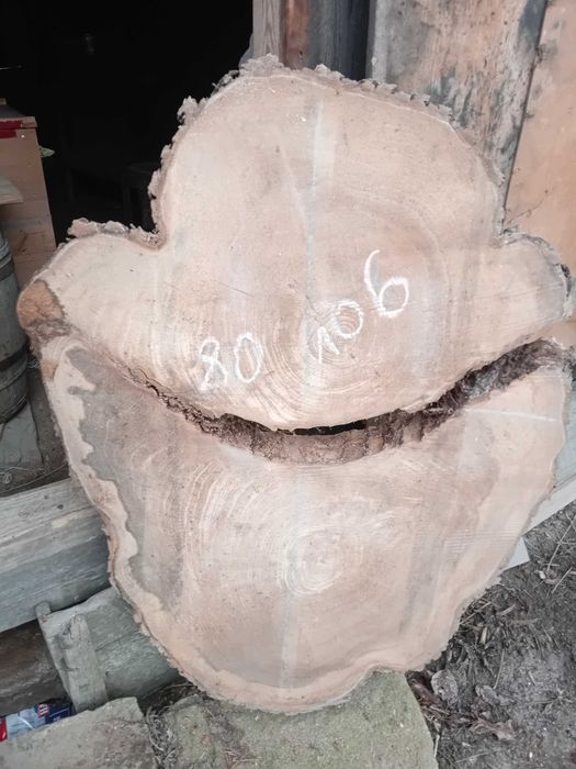 Suche plastry wiąza