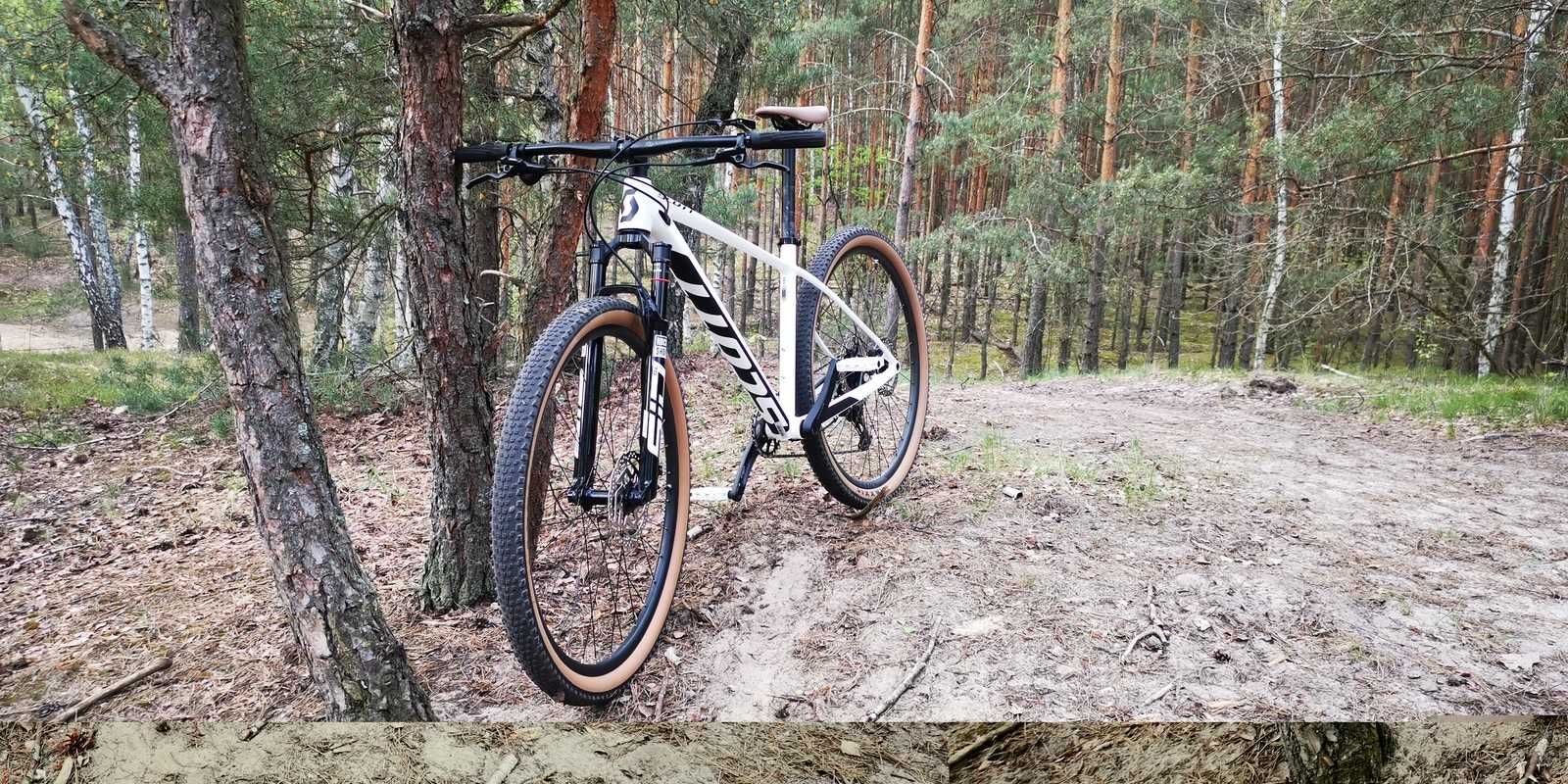 Scott Scale 965 (rozmiar M) 2024