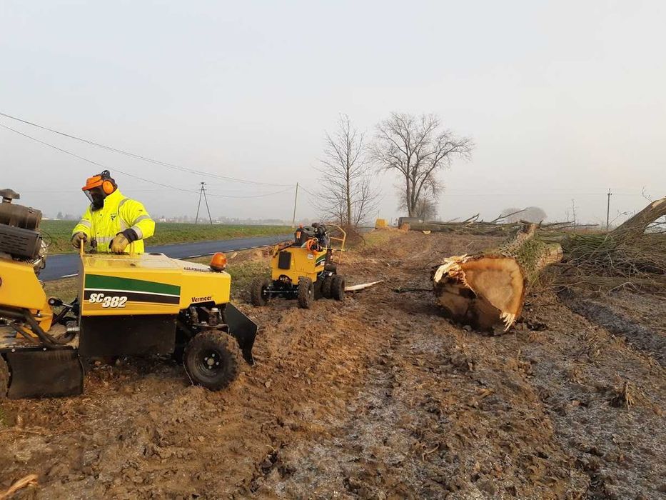 Usługa Frezarką Frezowanie Karp Usuwanie Pni Korzeni Karczowanie pni