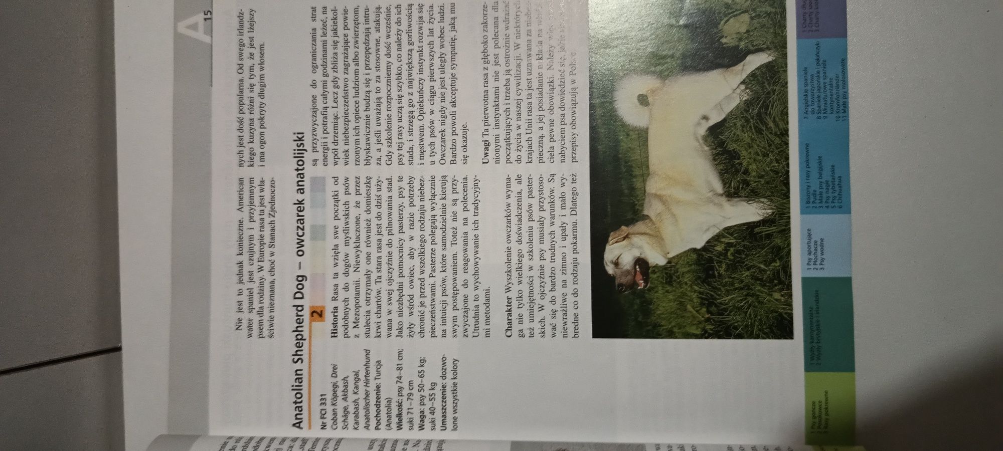 Psy.Wielka encyklopedia ras