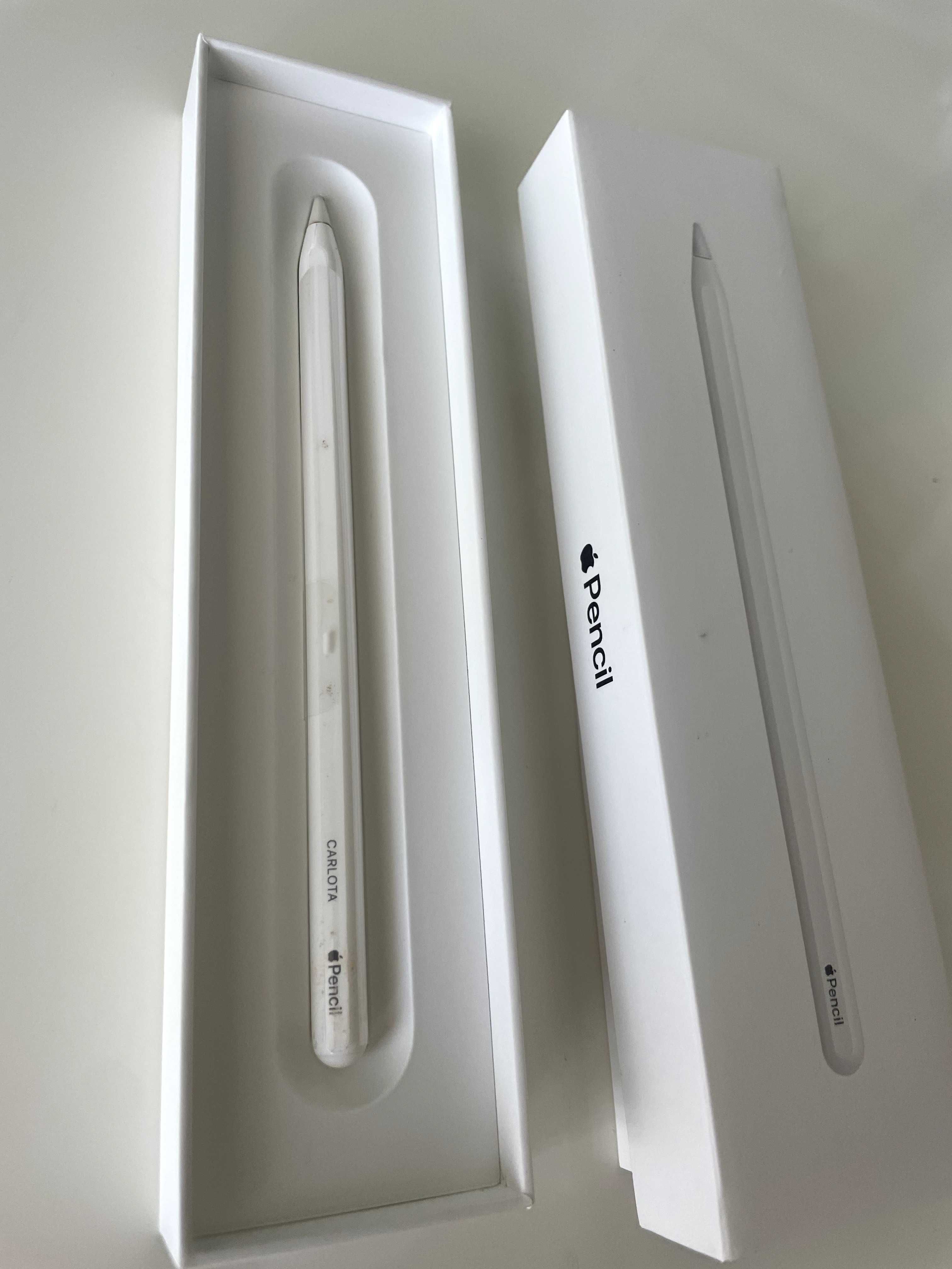 Ipad Air (4th Generation) Wi-Fi, 256 GB & Apple Pencil 1st generation