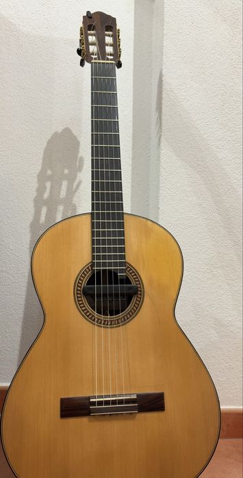 Viola de acompanhamento de fado