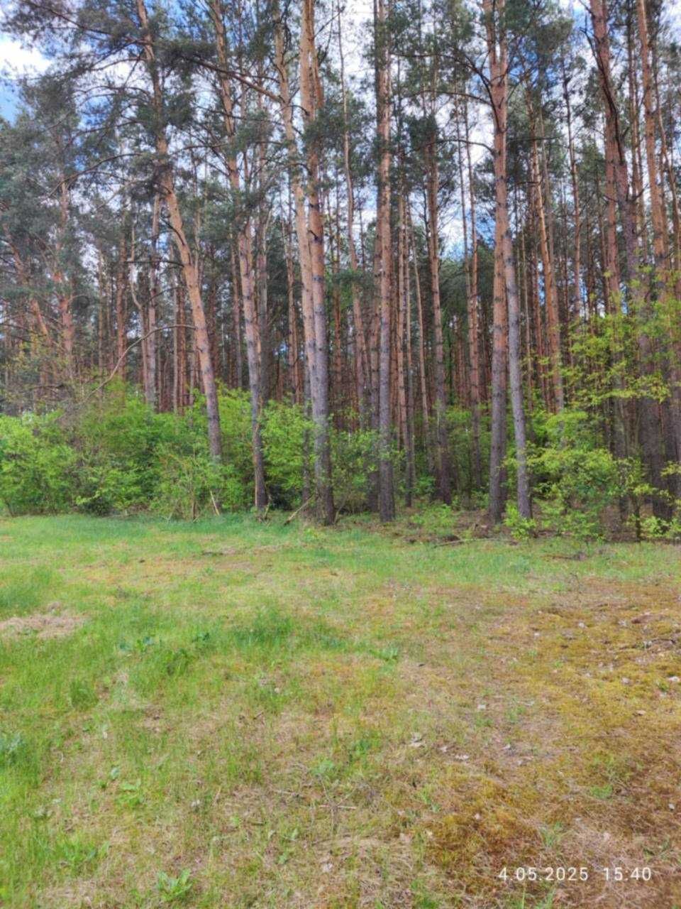 Piękne działki budowlane w Kamieńczyku – las i bez lasu
