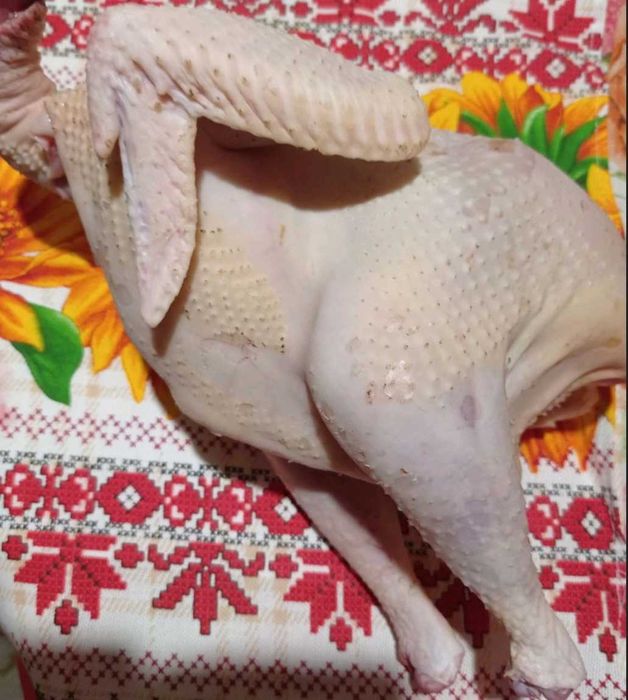 Тушки петуха, півня