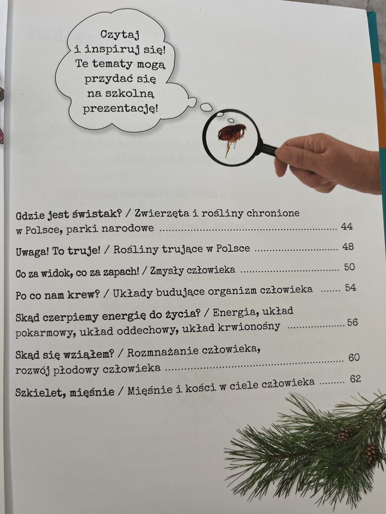 Przyroda w szkole podstawowej