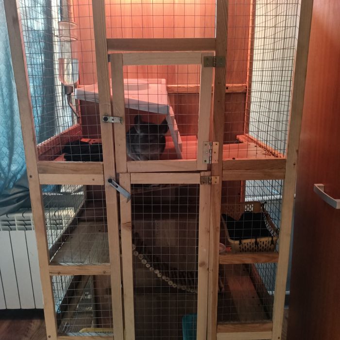 Sprzedam klatkę wraz z 2 szynszylami.