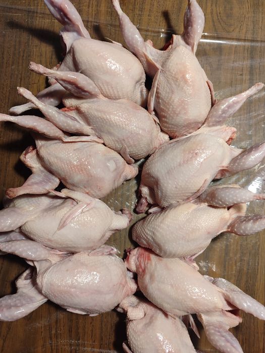 Тушки перепела по 250 грн