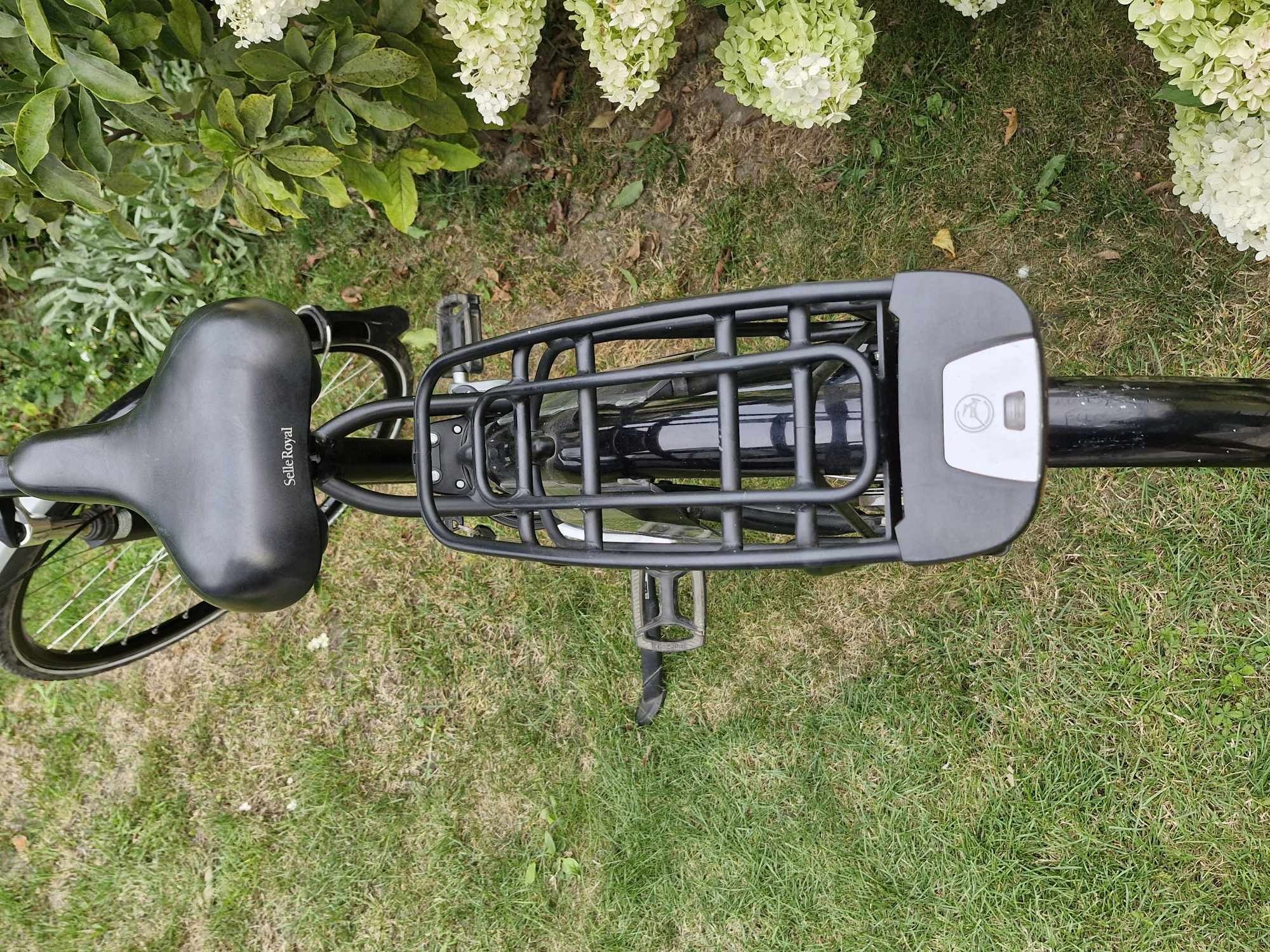 Rower męski Gazelle roz.ramy 57