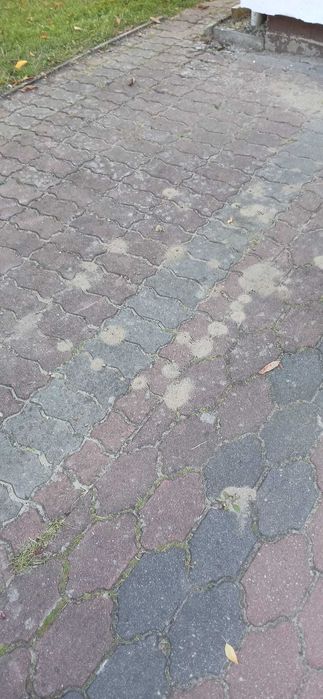 Kostka brukowa [16zl/mkw], bruk, polbruk gr. 6cm + Obrzeża