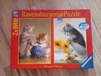 Puzzle koty 1000×2