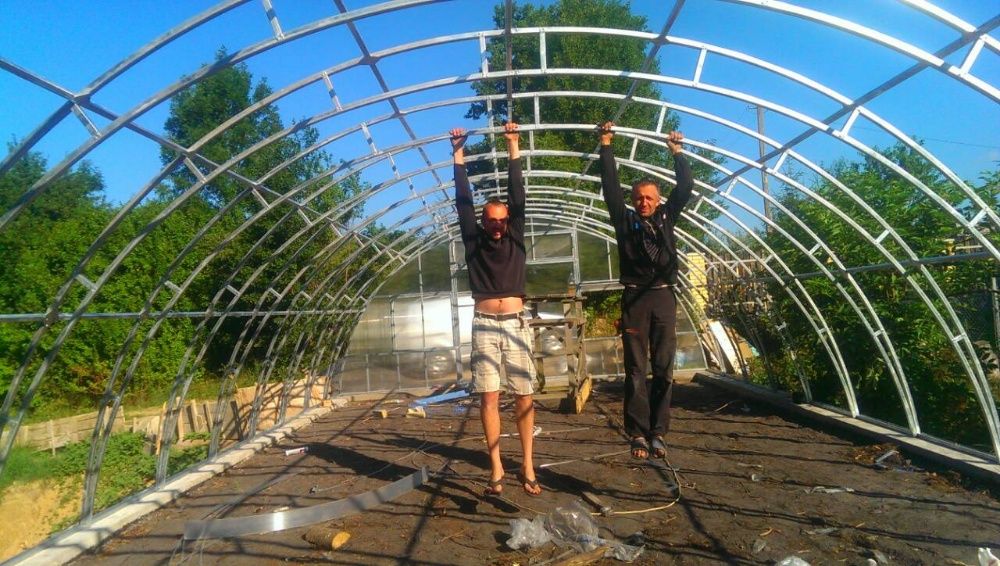 Універсальна усилена теплиця "Профі" 6*10м під полікарбонат або плівку