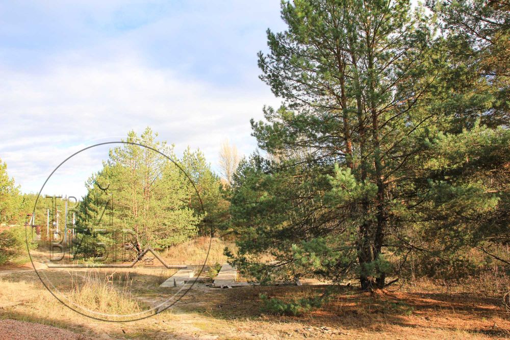 Продаж Ділянки 10 соток Гореничі Світло Ліс