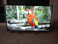 Telewizor Panasonic / 49 cali / Smart / DVB-T2