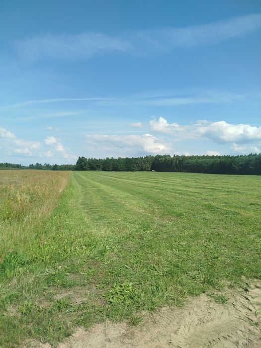 Sprzedam działkę na mazurach obręb Rostki gm.Pisz