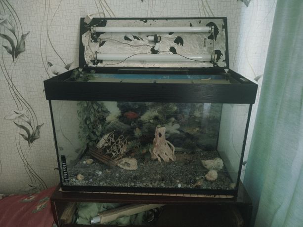 Продам аквариум.
