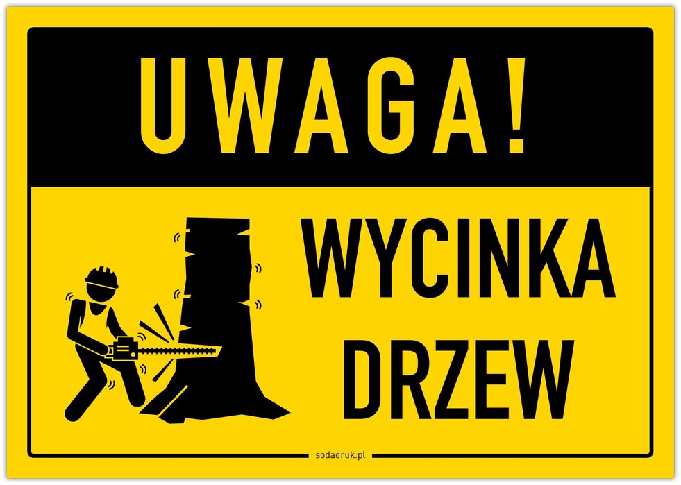 WYCINKA DRZEW, Wywóz z utylizacją!!