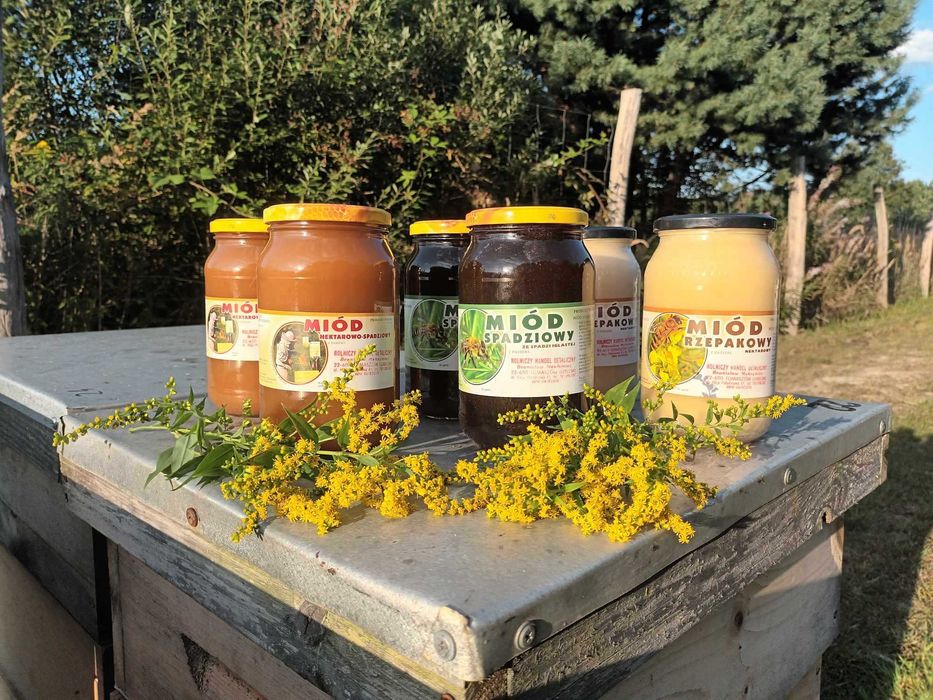 Miód spadziowy, rzepakowy, wielokwiatowy, nawłociowy, lipowy