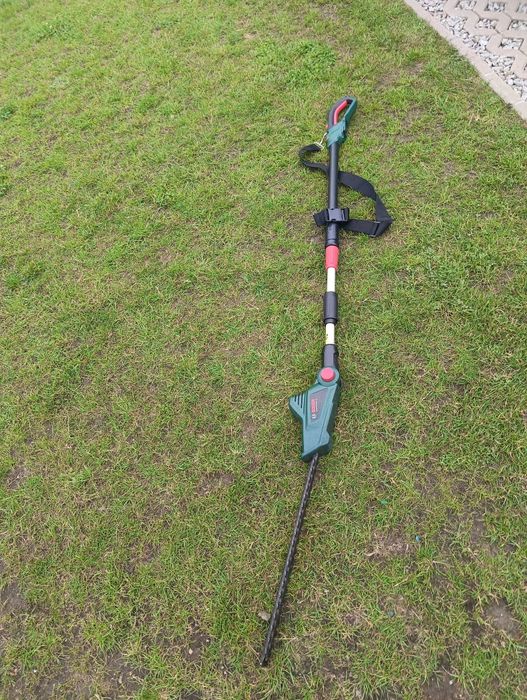 Norzyce do cięcia żywopłotu