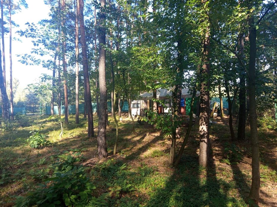 Magiczne miejsce nad Zalewem Nakło Chechło