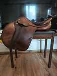 Prestige Golden Star 17 33