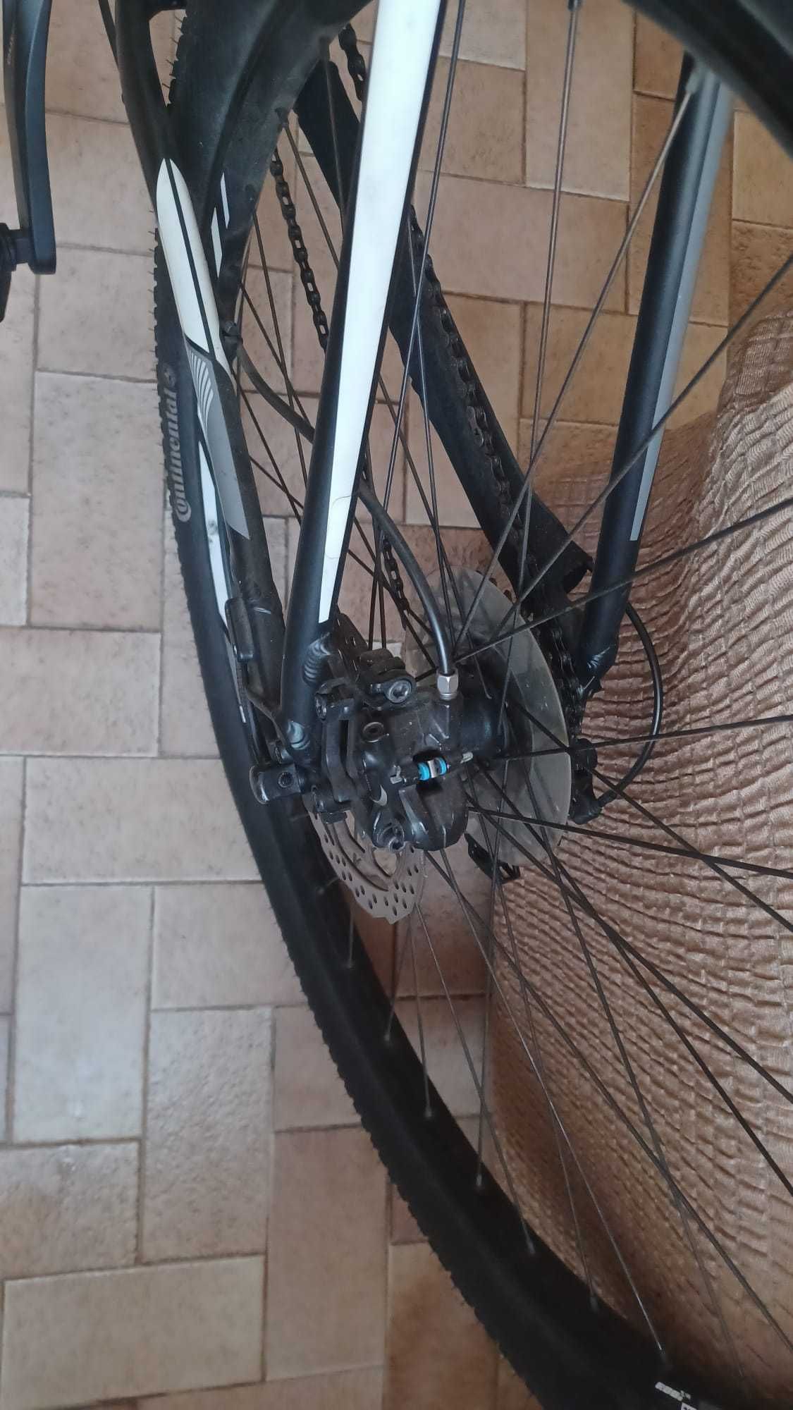 Bicicleta focus whistler lite 29