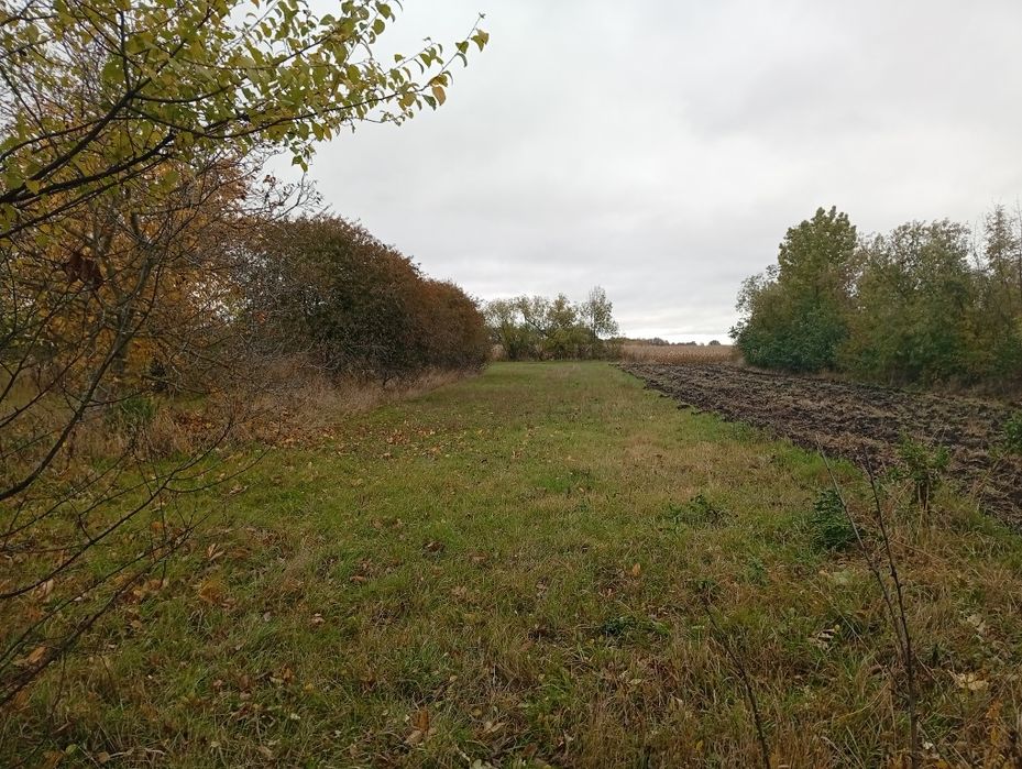 Будинок Продам с. Пилява