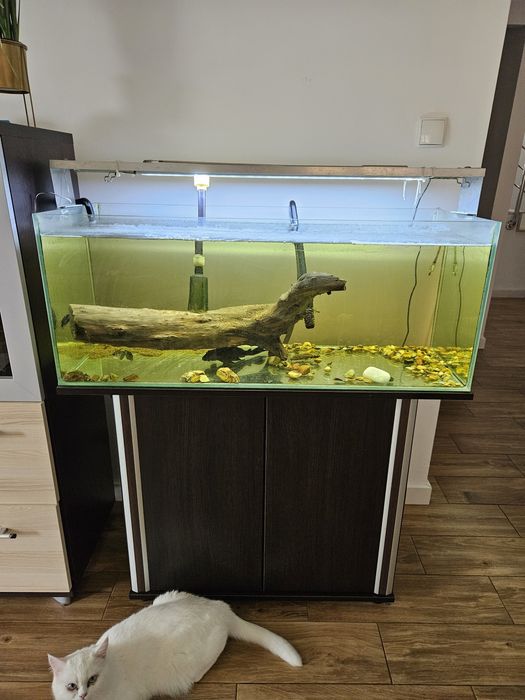 Akwarium 160L zestaw filtr e902