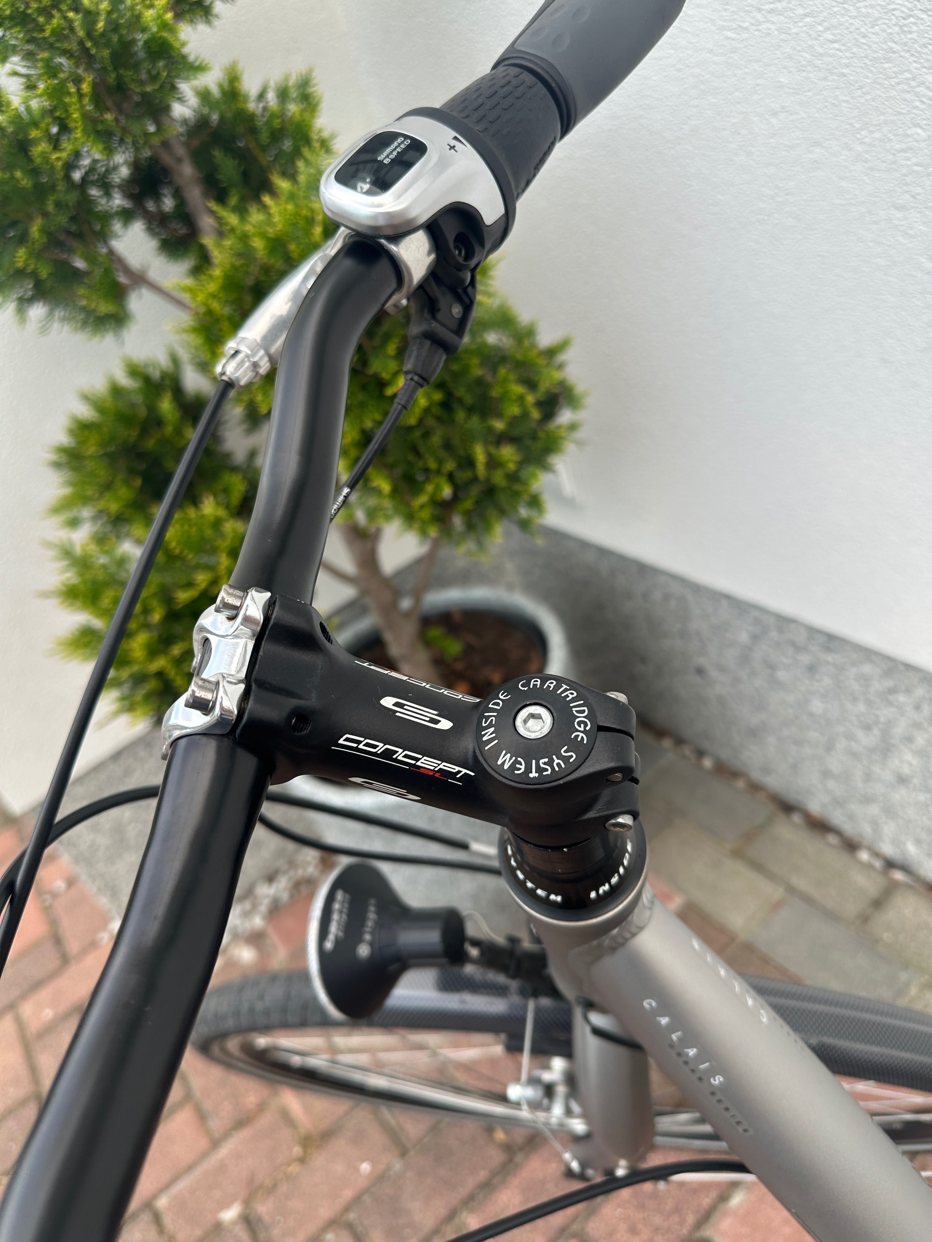 Rower miejski RIXE Calais Exklusivmodel! Titanium, Rama S, koła 28’