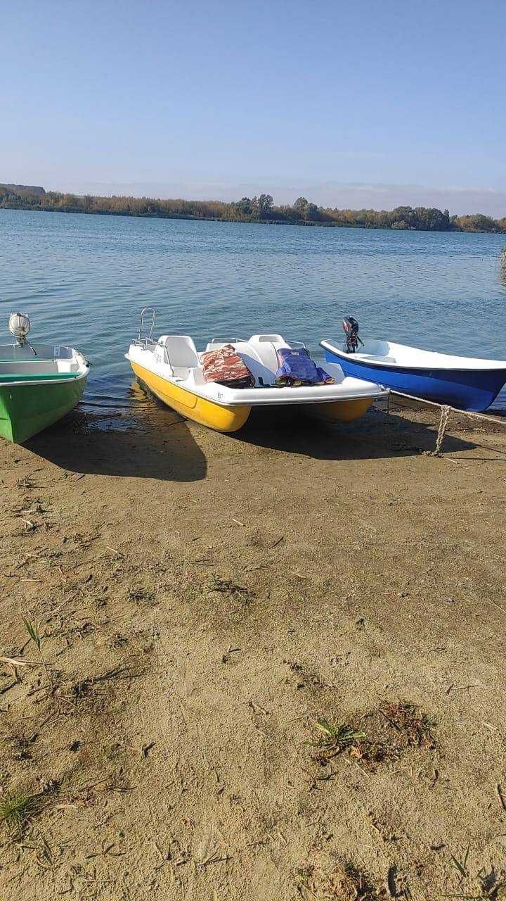 Сдам дом в аренду