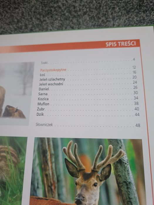 Encyklopedia przyrody zwierzeta rośliny