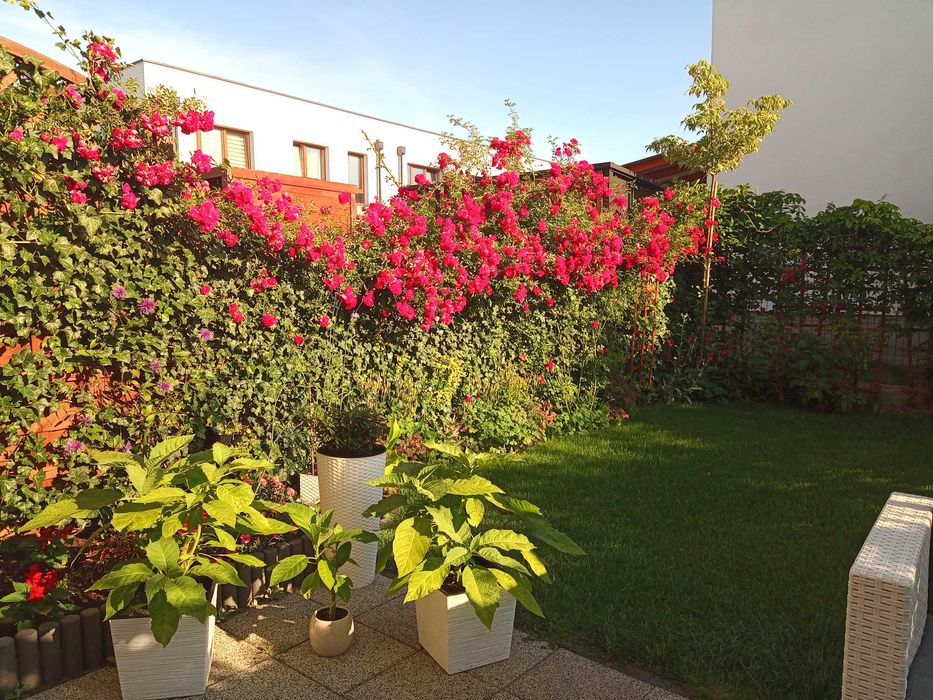 Segment obok lasu z miejscem na 3 samochody