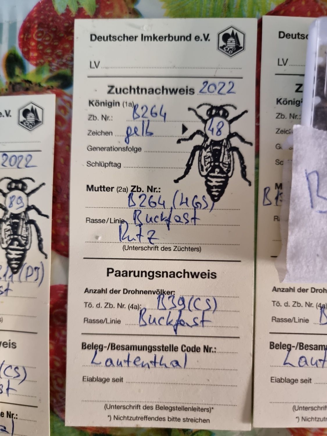 Чістопробні бджоломатки з Німеччіни