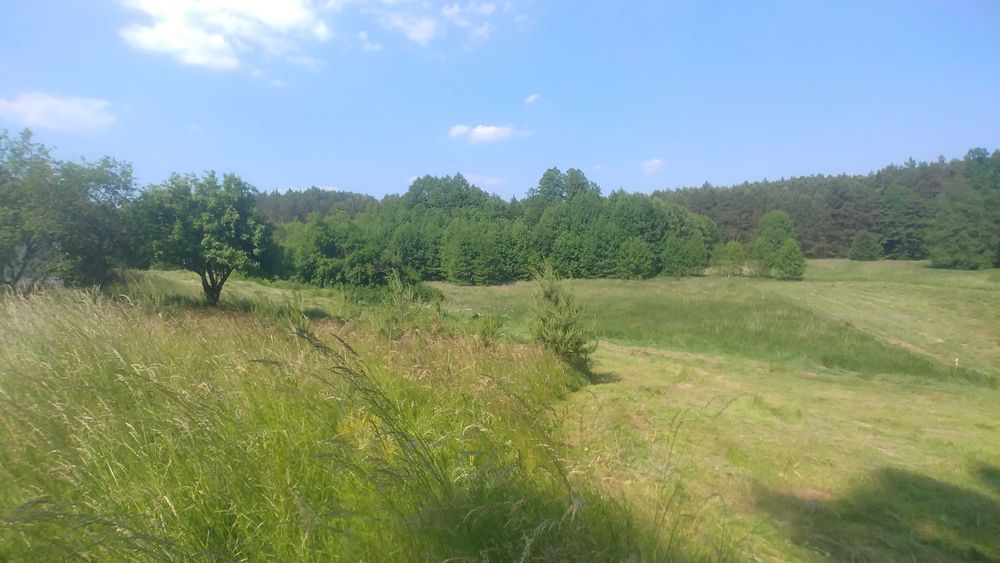 Działka 3,94ha w środku lasu z małym stawem tylko 14zł/m2