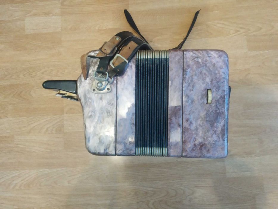 Баян "Етюд" (Тула)