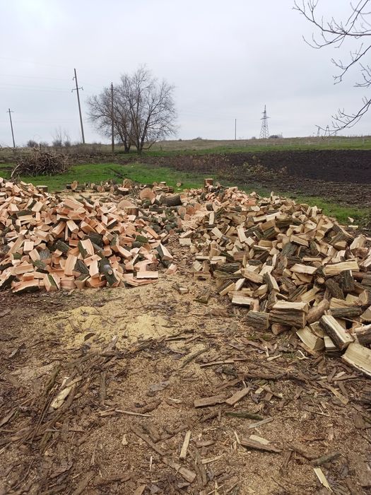 Продаю дрова твердої породи,!