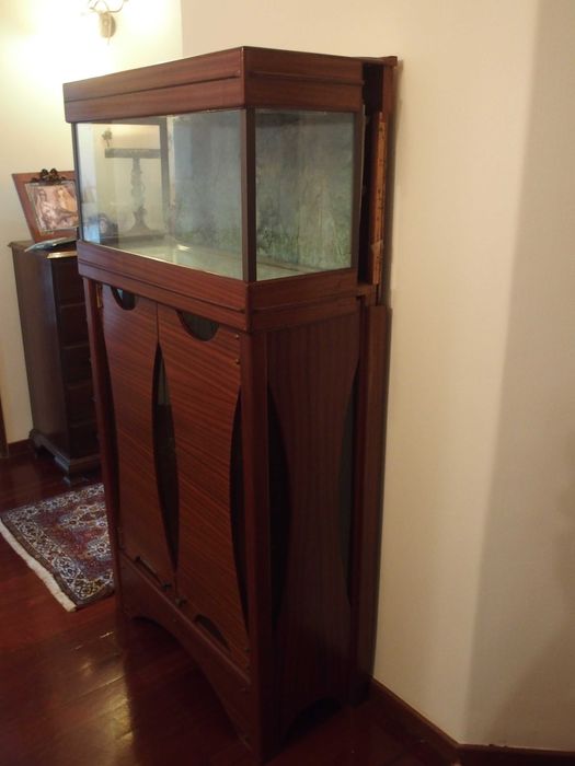 Venda de Aquário completo com filtros e móvel